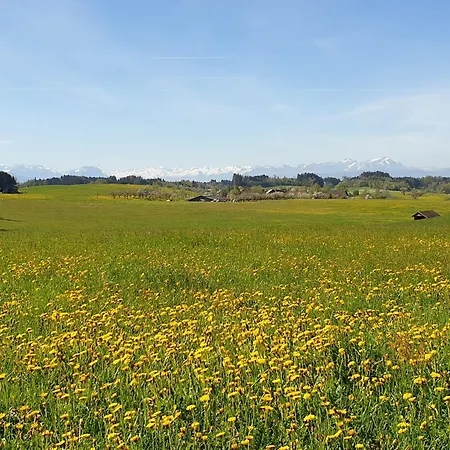 'get Moor' Daire Wangen im Allgäu